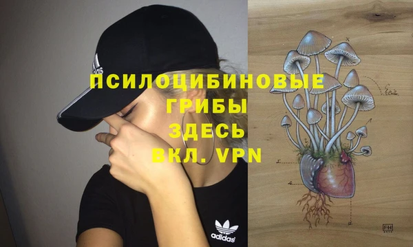 метамфетамин Белокуриха